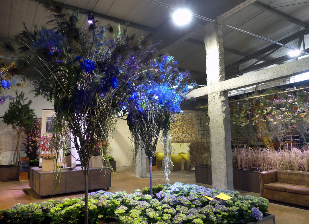 Hallenschau 3, "IRL (in real life)": Fr die gelungene rumliche und szenische Gestaltung der Blumenhalle wurde Michael Liebrich von Blumen Ulmer by Michael Liebrich, Weilheim an der Teck, mit der Groen Goldmedaille der Deutschen Bundesgartenschau-Gesellschaft auszeichnet. Damit wurde die fein-nuancierte Farbkonstellation der Blumenhalle in raumgreifender Ausfhrung im Zusammenspiel der einzelnen Werkstcke gewrdigt.