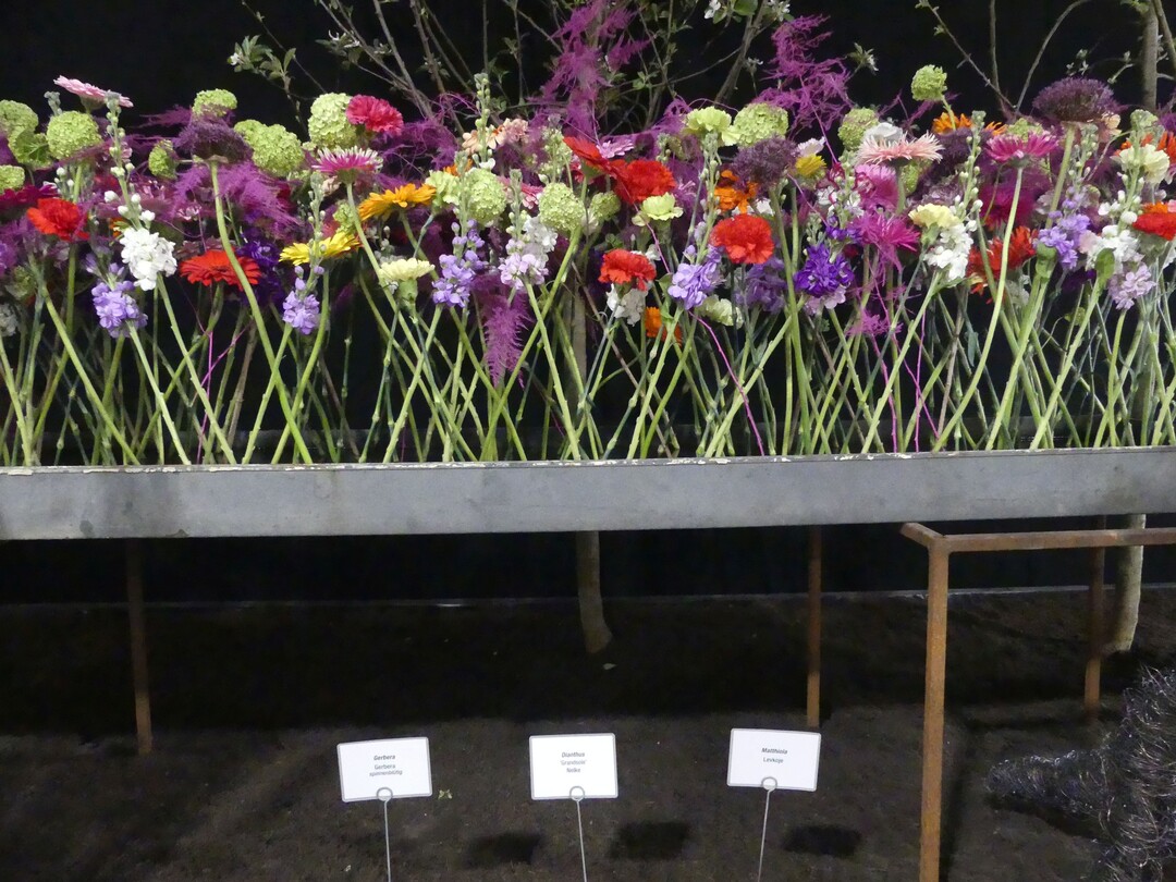 Hallenschau 3, "IRL (in real life)":Fr die Verbindung von floralem und non-floralem Material und der Wiedergabe des Themas im Werkstck Upcycling wurde Tobias Niefenecker ebenfalls mit einem Ehrenpreis des Fachverbands Deutscher Floristen ausgezeichnet.
