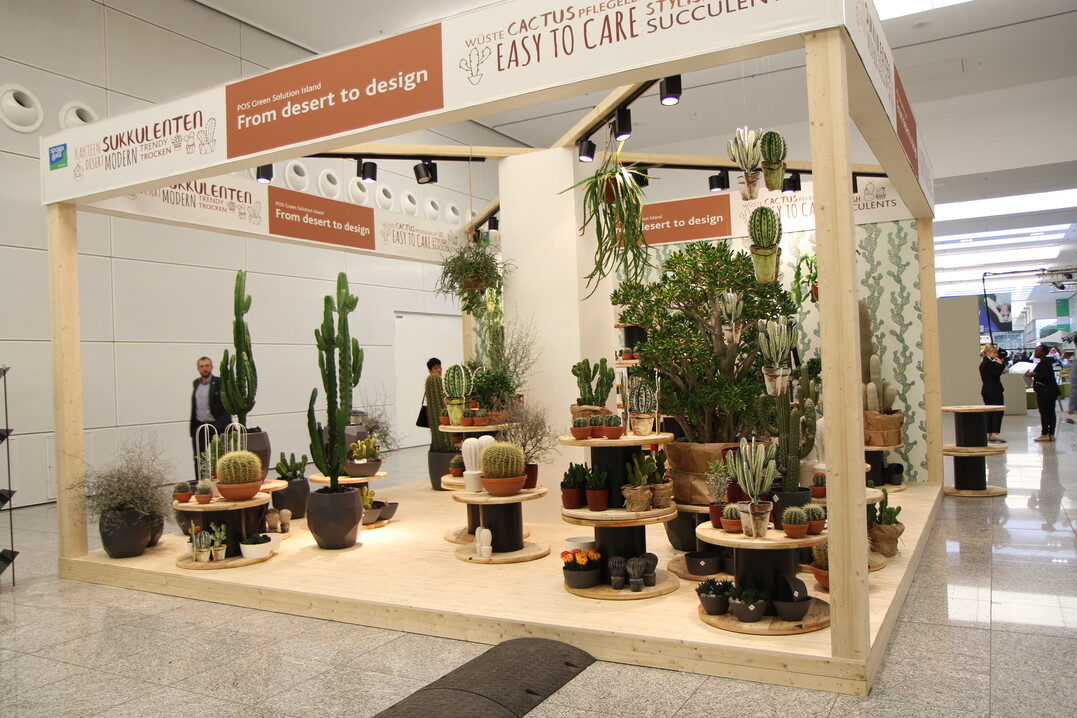 Die Insel "From desert to design" zeigte einen weiteren Trend der sich aktuell durch viele Branchen zieht  den Kaktus. Whrend die Pflanze in deutschen Gartencentern hufig ein Nischendasein fristet, sind Kakteen z.B. in den Niederlanden ein heies Trendthema das aktuell starke Umstze erzielt.