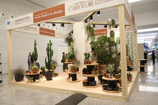 Die Insel "From desert to design" zeigte einen weiteren Trend der sich aktuell durch viele Branchen zieht  den Kaktus. Whrend die Pflanze in deutschen Gartencentern hufig ein Nischendasein fristet, sind Kakteen z.B. in den Niederlanden ein heies Trendthema das aktuell starke Umstze erzielt.
