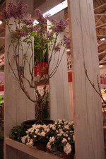 Immer wieder beeindrucken Pflanzen und Standdekorationen.