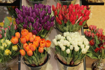  Lebende und damit verderbliche Blumen und Pflanzen sind eindeutig verderblicher Saisonware zuzurechnen, stellt der ZVG fest.