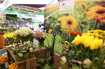Landgard (hier auf der IPM Essen 2019) will nach einer Branchenmeldung zum Jahresende 2019 den Zentralverband Gartenbau verlassen