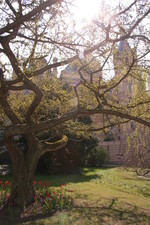 Im Burggarten des Schweriner Schlosses.