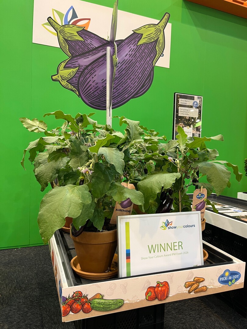 The award-winning Pick-&-Joy� Eggplant stands out for its exceptionally high ornamental value.