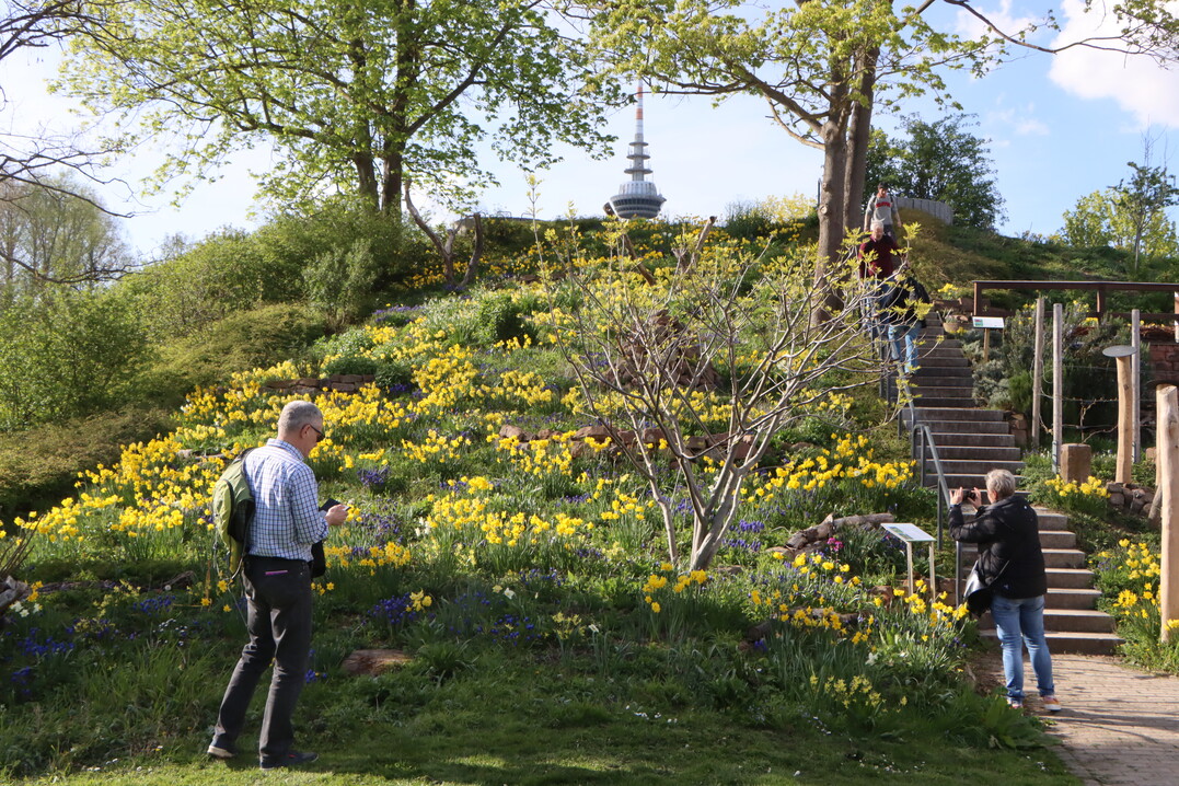 Mit neuen Beeten und Pflanzenarten hat sich der Luisenpark zur BUGA 23 neu erfunden.