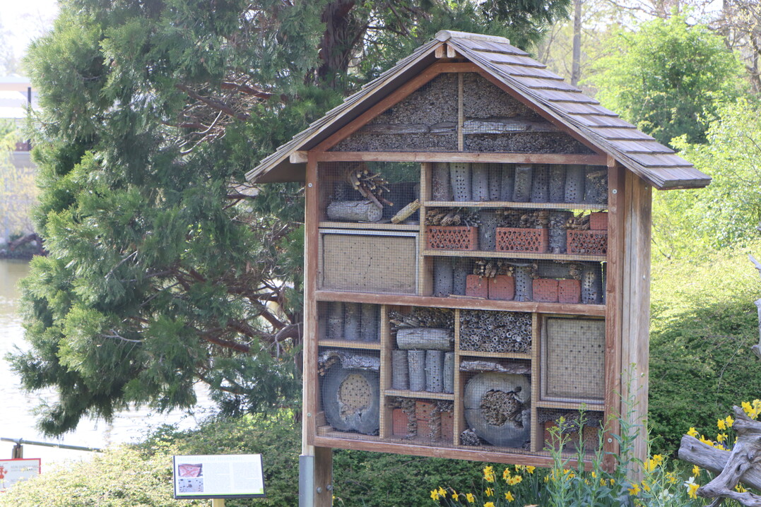 Das Insektenhotel war zum BUGA-Start ebenfalls gut besucht.