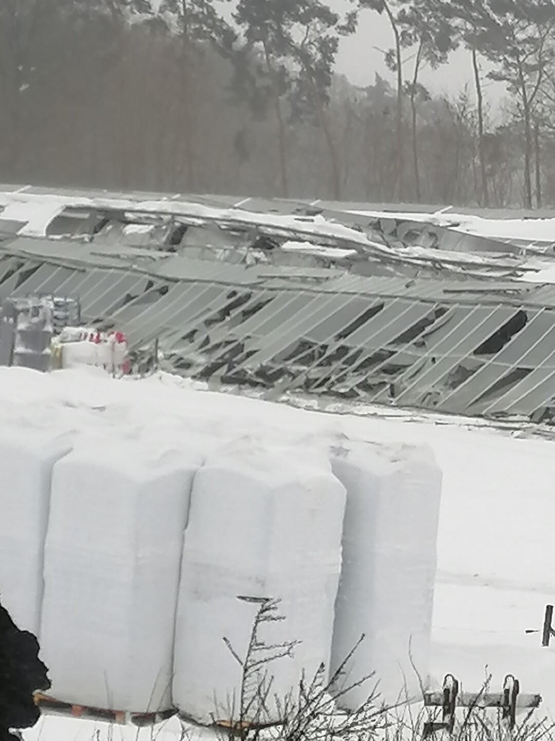Sturm und ungewhnlich starke Schneeflle brachten Anfang Februar 2021 bei Brandkamp eine Gewchshausanlage zum Einsturz