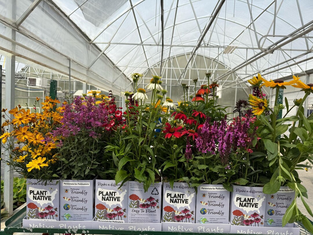 The Plant-It-Friendly� system is a smart Solutions for Growers and Retailers and gives growers full control over their inventory.