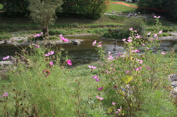 Die Gartenschau in Horb trug den Namen "Neckarblhen" zu Recht.