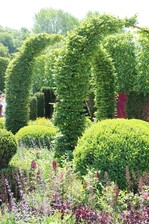 Erstmals wird es auf der IPM 2014 ein offizielles Treffen der europäischen Baumschuler geben.