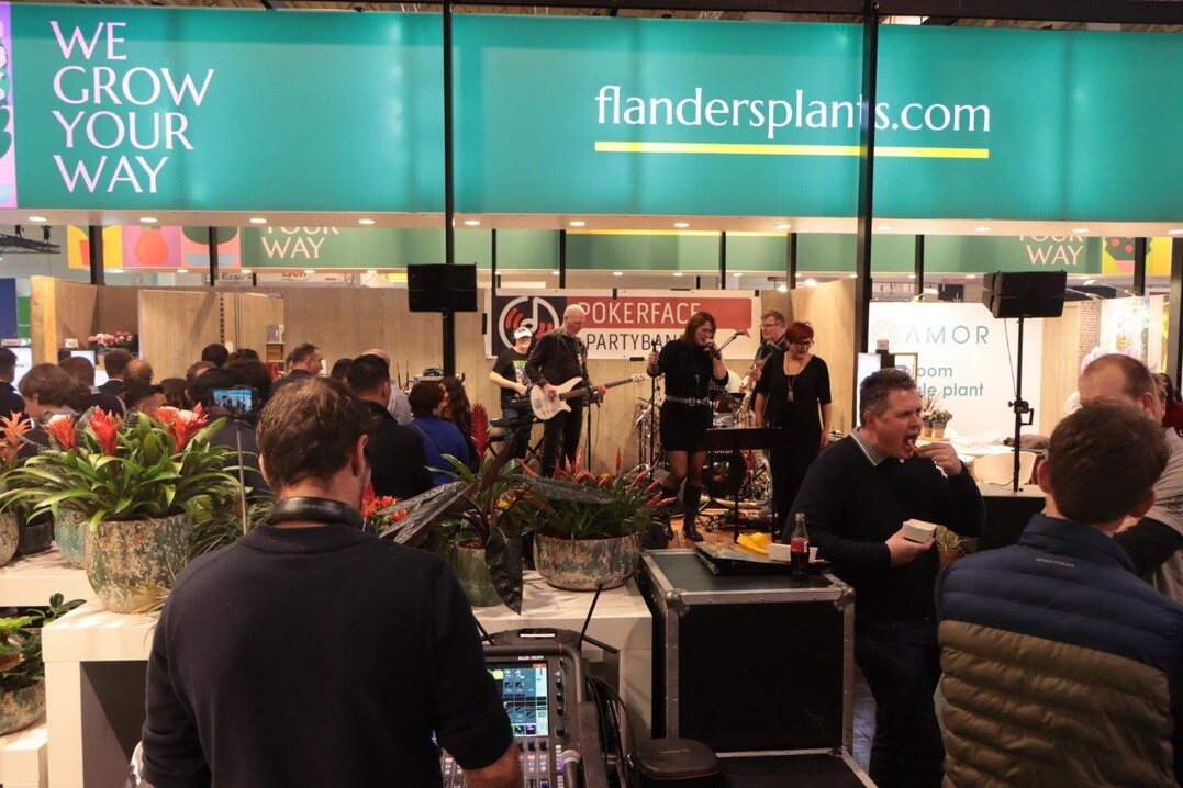 Eine Standparty feierten die Belgier mit ihren Gsten bei Livemusik.