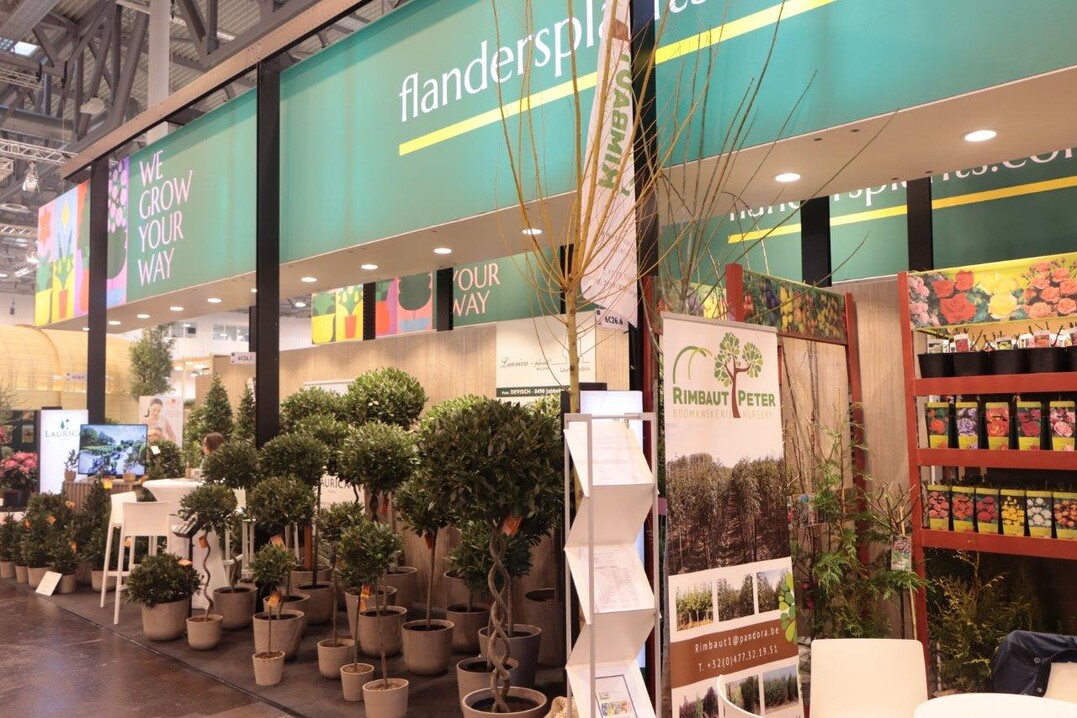 Topiaries and roses will also be presented at the joint stand.