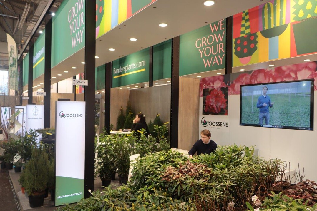 "We grow your way" ist das farbenfroh gestaltete Motto des Belgischen Gartenbaus.