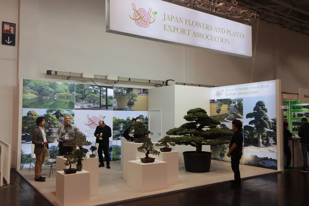 Unter dem Dach der Japan Flowers and Plants Export Association sind auch Gartenbume aus Japan ausgestellt.