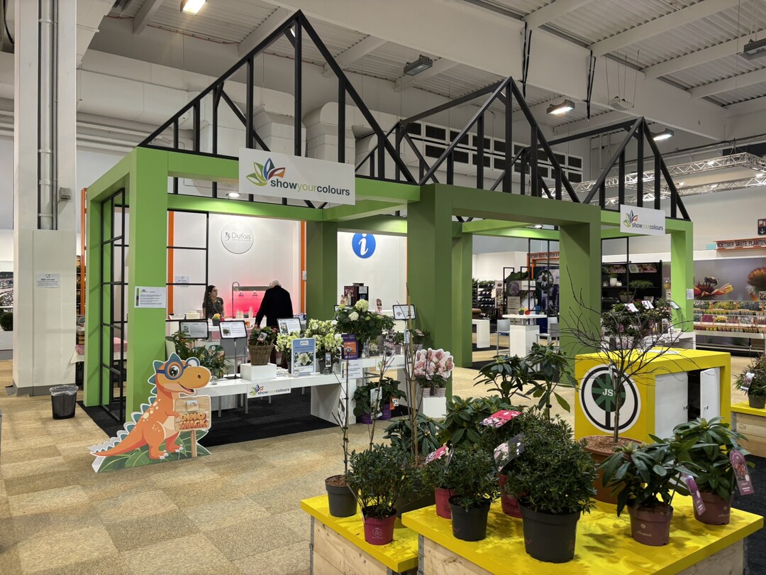 Sieben Pflanzen wurden für den Show Your Colours Award IPM 2026 nominiert und werde am Stand von BIZZ Holland in Halle 8 ausgestellt.