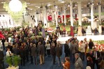 Impressionen aus der Blumenhalle