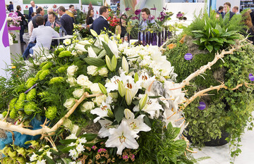 Mehr Besucher als im Vorjahr und eine gute Stimmung kennzeichneten die IPM 2016.