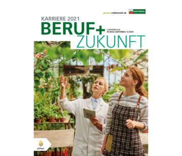  Karriere in Zeiten von Corona 