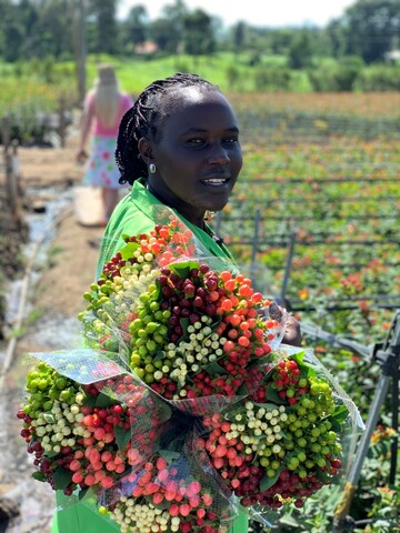 Rosen, Alstromerien, Hypericum, Kngurupfoten und viele weitere Summer Flowers  Kenia hat eine groe Blumenvielfalt zu bieten.