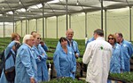 Mitglieder des Bundestagsausschusses bei der Besichtigung der Produktion von
Stecklingen im Mutterpflanzenbetrieb der Firma Silze in Kenia.