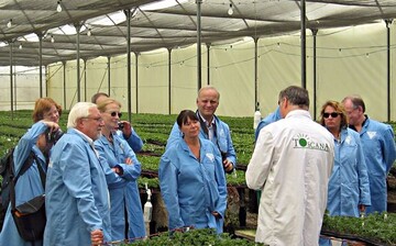Mitglieder des Bundestagsausschusses bei der Besichtigung der Produktion von
Stecklingen im Mutterpflanzenbetrieb der Firma Silze in Kenia. 