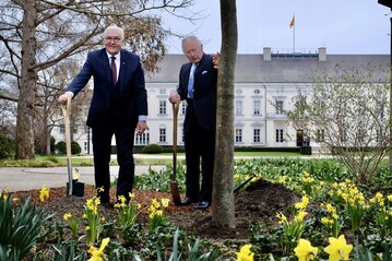 Am 29. Mrz 2023 pflanzten Knig Charles III. und Bundesprsident Frank-Walter Steinmeier die vom BdB gestiftete Manna-Esche im Park von Schloss Bellevue.