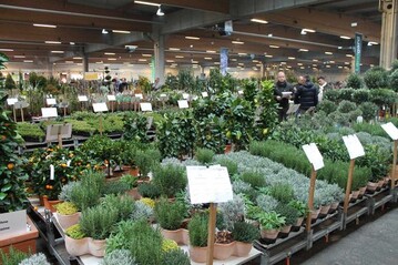 Vom Krutertopf bis zum Solitr reicht das Angebot