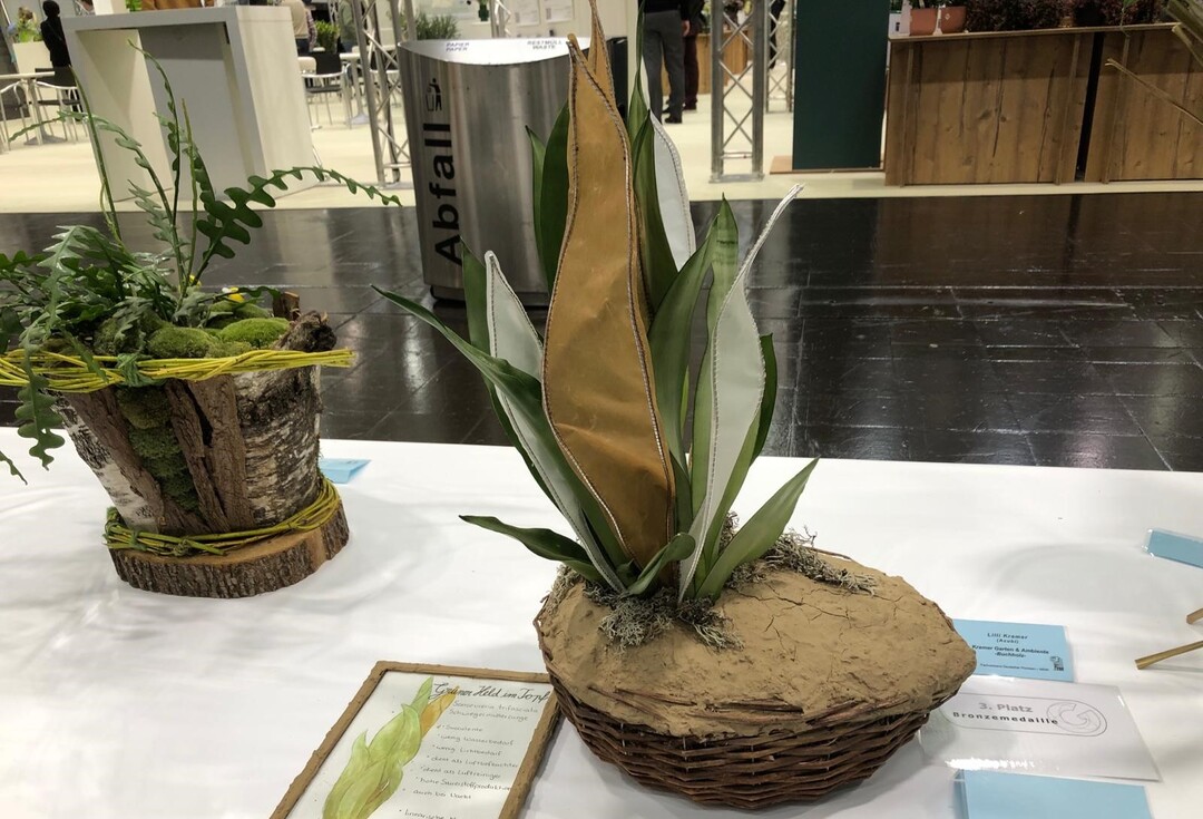 Lilli Kramer also took 3rd place in the "Container Planting" category.