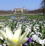 Das Schweriner Schloss ist optischer Mittelpunkt der Gartenschau in Mecklenburg-Vorpommern.