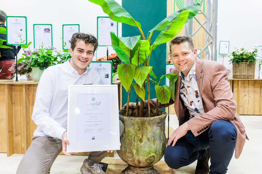 In the "Potted Plants" category, Musa sikkimensis Ever Red from Hoogeveen Plants BV from the Netherlands was awarded the title "IPM Novelty 2025".