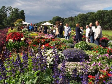 Der Schaugarten in Weeze war in diesem Jahr mit kreativer Untersttzung eines Floristen-Teams entstanden.