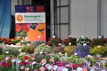 Zu den Kundentagen bei Gastager kamen ber 300 Besucher