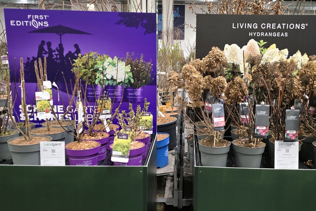 To make it easier to find your way around, particularly interesting plant assortments are highlighted.