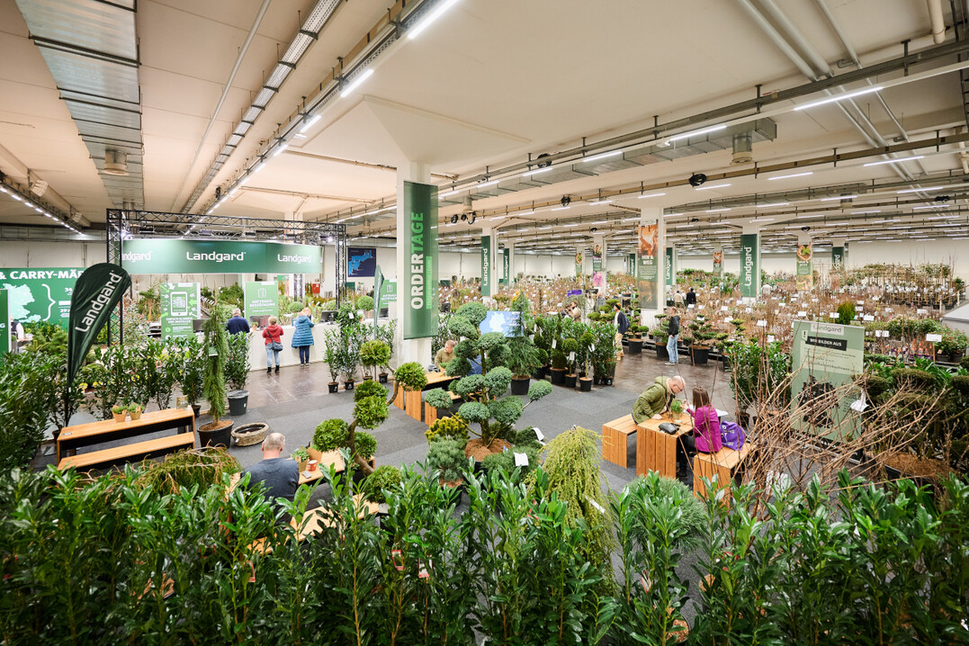 In der Halle 1A sind diesmal die Landgard-Frühjahrs-Ordertage zu finden. Dadurch befindet sich das Infocenter Gartenbau befindet in der Halle 4. Das IPM Discovery Center sowie die FDF World mit der Showbühne sind in die Halle 5 umgezogen.
<br>