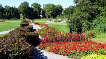 Limeshecke mit Sommerflor