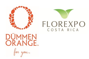 Dmmen Orange bernimmt Florexpo