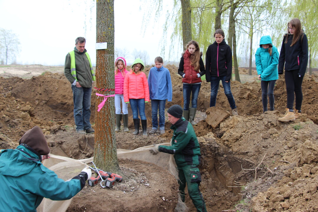 Girls"Day in der Baumschule Lorenz von Ehren 2017