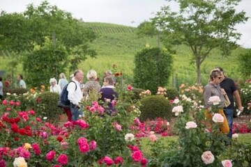 Rund 5500 Besucher waren der Einladung der LWG gefolgt und warfen am Campus Veitshchheim und am Versuchsbetrieb Stutel (Thngerhseim) einen Blick hinter die Kulissen der Landesanstalt. 