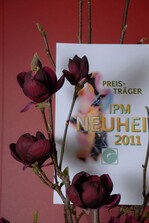 Magnolia x soulangeana "Genie’ S