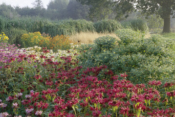 Der Pagels-Garten in Leer