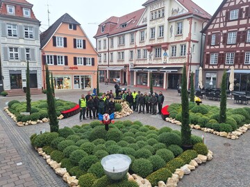Das Team der Europa-Park-Grtnerei sorgt fr eine prchtige Zirkusmanege mitten in der Innenstadt zur "Chrysanthema" in Lahr.