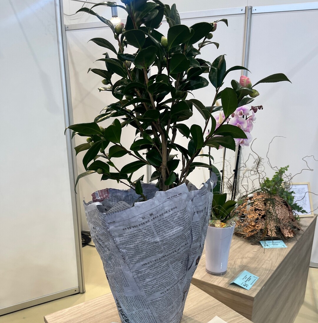 Yeo Jin Choi from the Elly-Heuss-Knapp-Schule in Dsseldorf took second place in the "Green Hero in a Pot" competition.