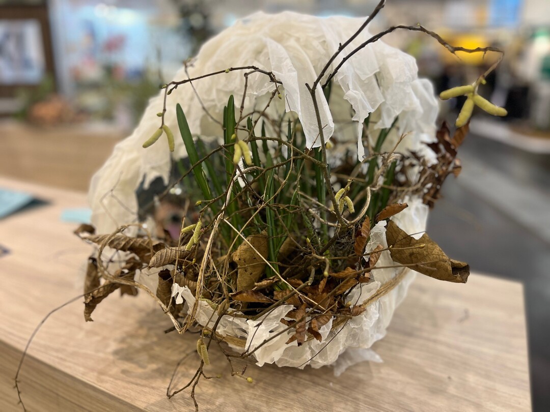 Third place in the "Green Hero in a Pot" category went to Fabian Liss from Blumen Selders in Neuss.