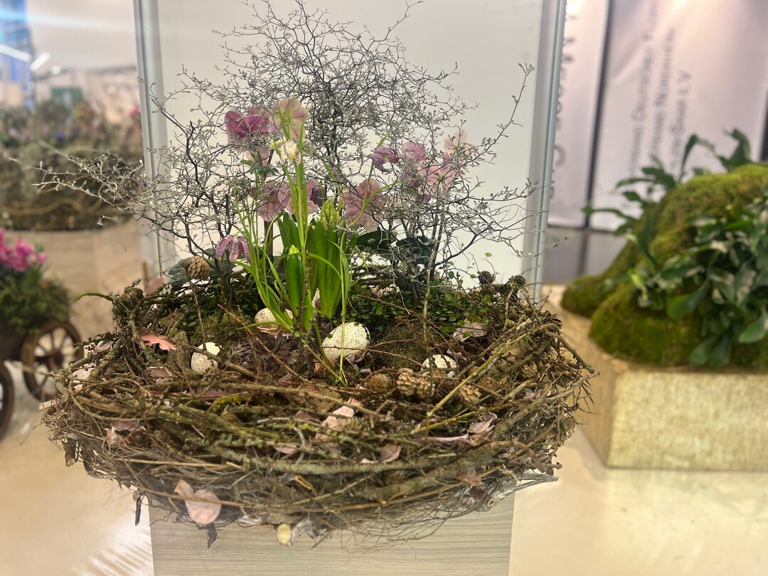 Third prize went to the joint project by Evelin Fangauf, Jasmin Laudenbach and Jan Reckewey from the Justus-von-Liebig School in Hanover.