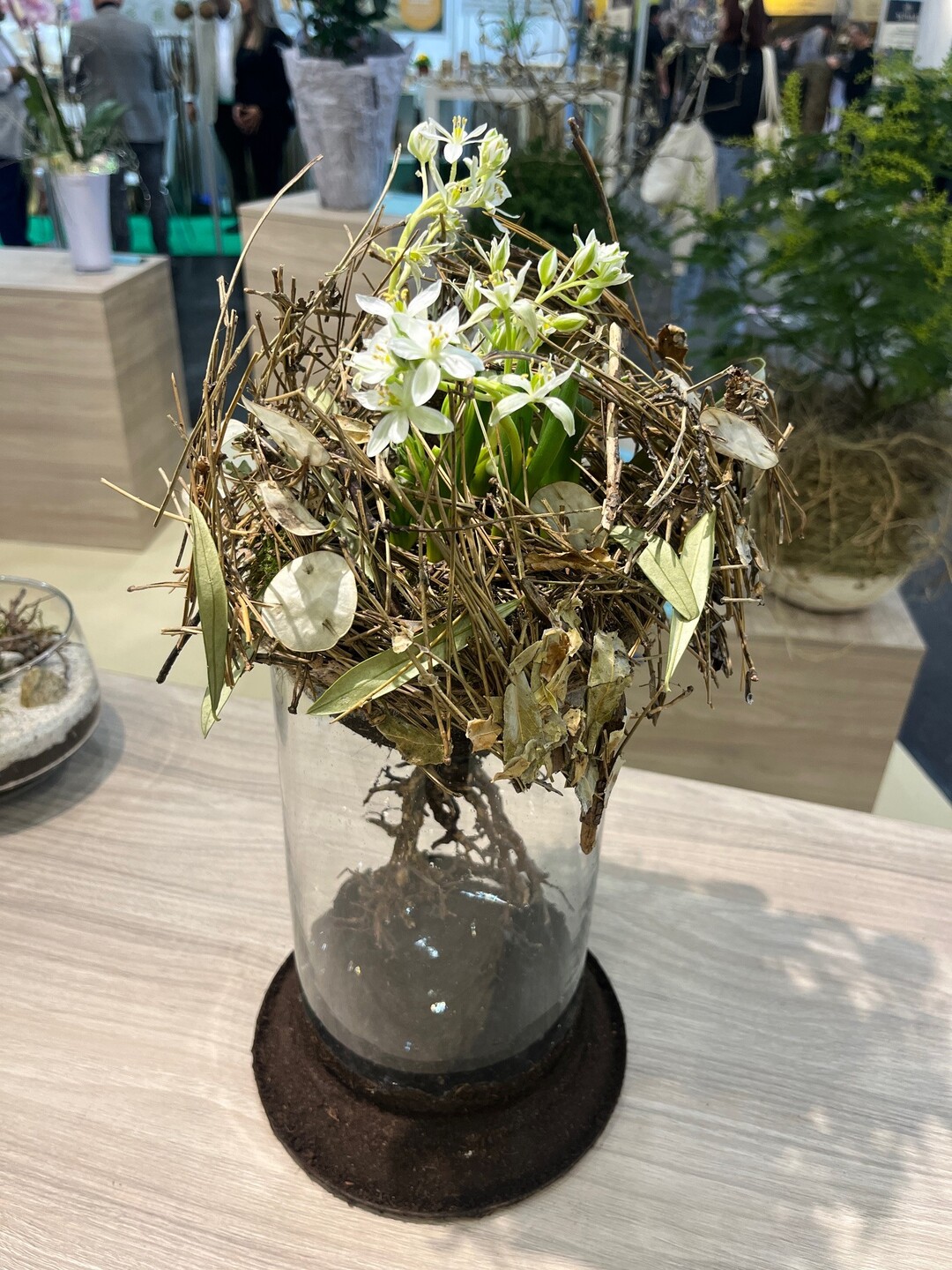 The winner in the "Green Hero in a Pot" category was Steven Betker from the Justus-von-Liebig School in Hanover.