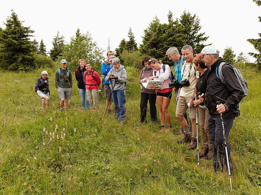 ISU-Exkursion 2015 Monte Baldo