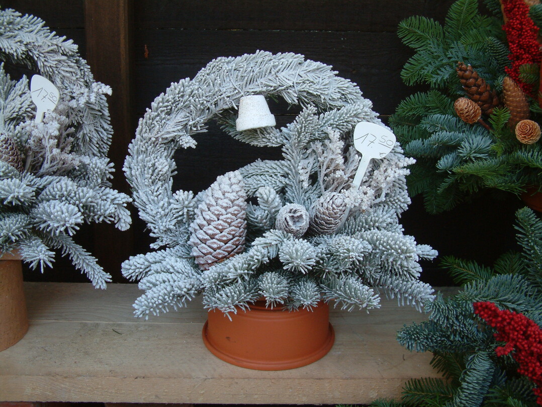 Viele Kunden mgen die kleine Bumchen als weihnachtlichen Grabschmuck.