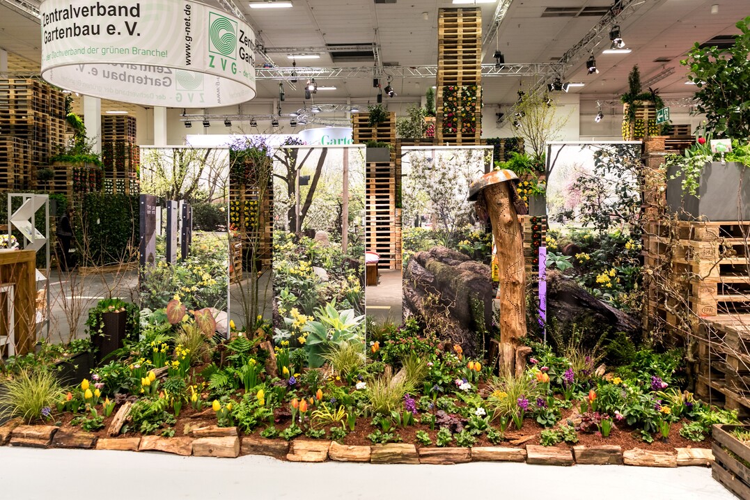 Um das Thema Biodiversität auf Friedhöfen stärker aufzuzeigen, präsentiert der ZVG an seinem IGW-Messestand ein Modell des Grabgestaltungskonzeptes „NaturRuh“.