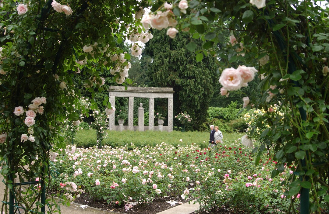 Besucher dürfen den Friedhof auch weiterhin, wie hier zum Besuch des Rosengartens, befahren.